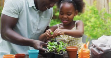 african american father and daughter planting plants. Enjoying quality family time together in garden.