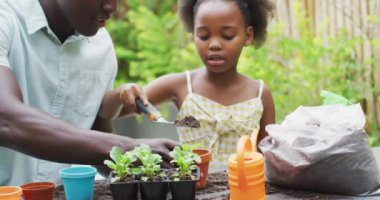 african american father and daughter planting plants. Enjoying quality family time together in garden.