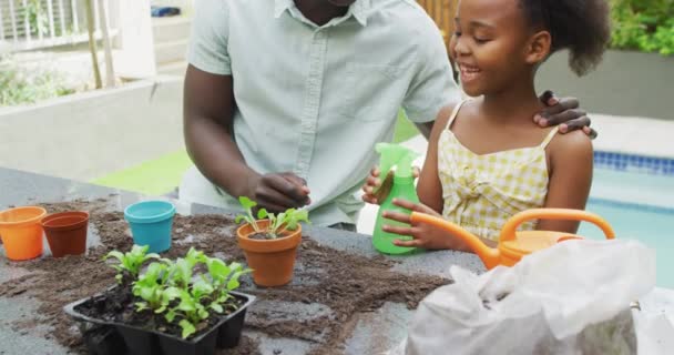 Αφροαμερικάνος Πατέρας Και Κόρη Φυτεύουν Φυτά Απολαμβάνοντας Την Ποιότητα Του — Αρχείο Βίντεο