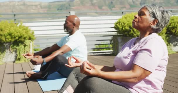 Vídeo Relaxante Casal Americano Africano Sênior Meditando Jardim Estilo Vida — Vídeo de Stock