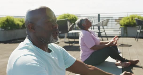 Video Relaxing Senior African American Couple Meditating Garden Retirement Lifestyle — Stok video
