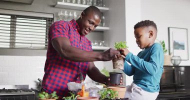 Video of happy african american father and son planting flowers at home. Family, spending quality time together at home concept.