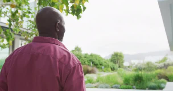 Video Happy Senior African American Men Walk Retirement Lifestyle Spending — 비디오