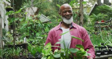 Portrait of happy senior african american man holding plants and similing in garden. Spending time outdoors, working in garden nursery.