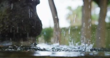 Bahçedeki su damlalarını ve ağaçları kapatın. Dışarıda vakit geçirmek, bahçede çalışmak..