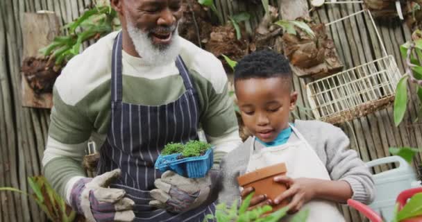 Happy Senior African American Man His Grandson Potting Plants Garden — Stockvideo