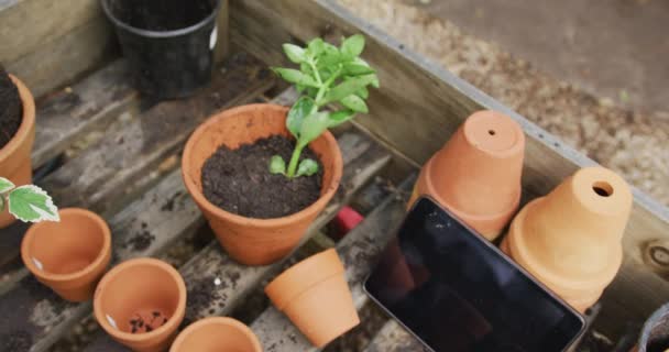 Close Plants Flowerpots Tablet Garden Spending Time Outdoors Working Garden — Vídeos de Stock