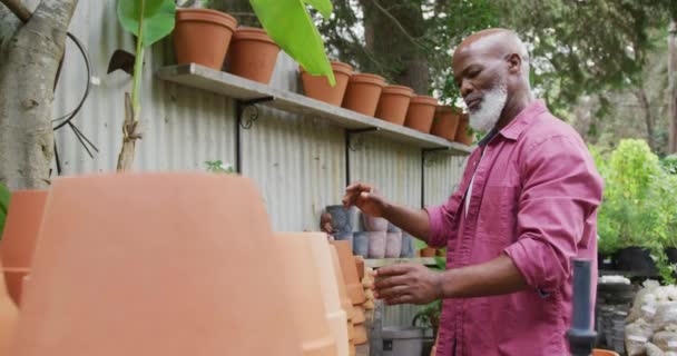 Happy Senior African American Man Holding Flowerpots Garden Spending Time — Stock Video