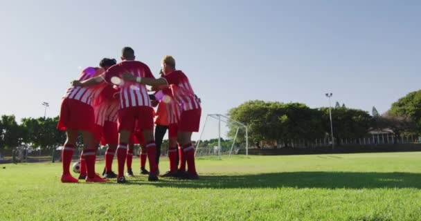 Βίντεο Από Διάφορες Ομάδες Ανδρών Ποδοσφαιριστών Στο Γήπεδο Συζητώντας Τακτικές — Αρχείο Βίντεο