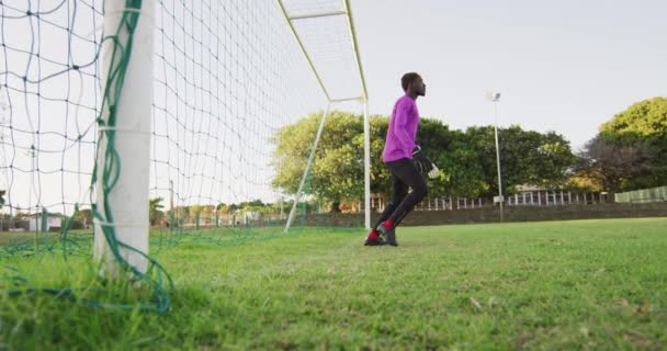 Βίντεο Του Αφροαμερικανού Τερματοφύλακα Στο Γήπεδο Παίζει Ποδόσφαιρο Ανδρική Ποδοσφαιρική — Αρχείο Βίντεο