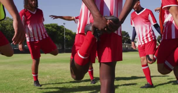 Видео Разной Группы Мужчин Футболистов Согревающихся Поле Стоящих Растягивающих Ноги — стоковое видео