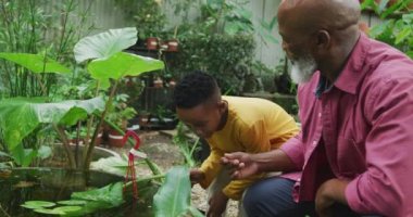 Happy senior african american man with his grandson looking at plants in garden. Spending time outdoors, working in garden nursery.