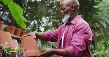 Happy senior african american man holding flowerpots in garden. Spending time outdoors, working in garden nursery.