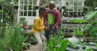 Happy senior african american man with his grandson holding plants in garden. Spending time outdoors, working in garden nursery.