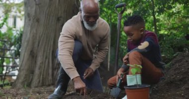 Happy senior african american man with his grandson planting in garden. Spending time outdoors, working in garden nursery.
