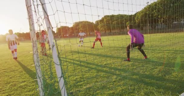 Video Diverse Group Male Football Player Field Playing Football Male — 비디오