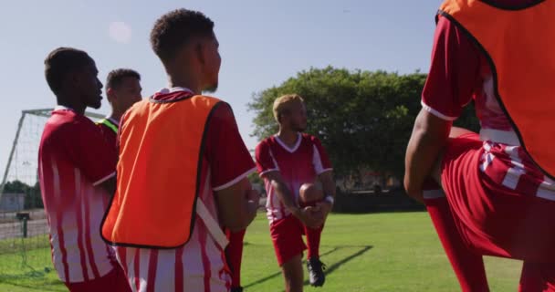 Video Diverse Group Male Football Players Warming Field Standing Stretching — ストック動画