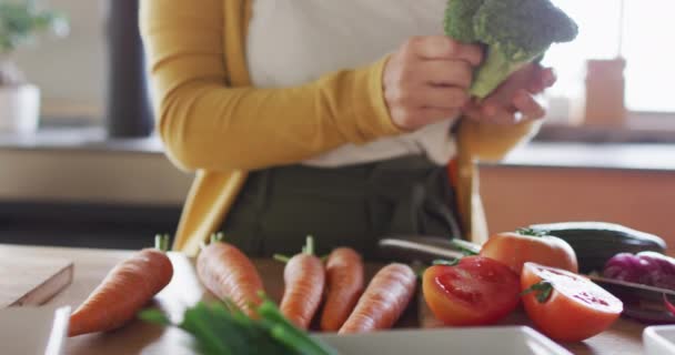 Midsection Asian Woman Cooking Chopping Vegetables Kitchen Spending Quality Time — Video Stock