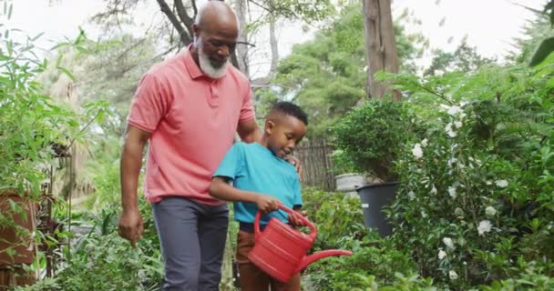 Happy Senior African American Man His Grandson Watering Plants Garden — Stockvideo