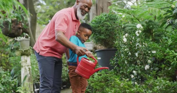 Happy Senior African American Man His Grandson Watering Plants Garden — Αρχείο Βίντεο