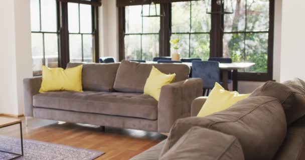 General View Living Room Sofa Table Windows Spending Quality Time — Stock videók