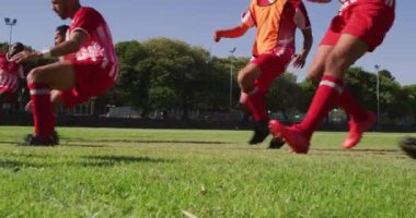 Video of diverse group of male football players warming up on field, running. Male football team, inclusivity and fitness in team sports.