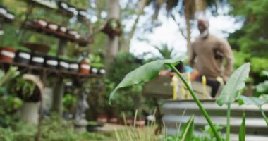 Torunuyla bahçede el arabasıyla oynayan kıdemli Afrikalı Amerikalı adam. Dışarıda vakit geçirmek, bahçede çalışmak..