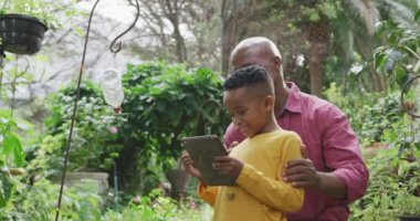 Torunuyla birlikte bitkilere bakıp bahçede tablet kullanan mutlu kıdemli Afrikalı Amerikalı adam. Dışarıda vakit geçirmek, bahçede çalışmak..