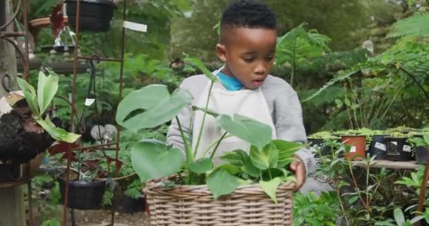 Happy African American Boy Holding Plants Garden Spending Time Outdoors — стоковое видео