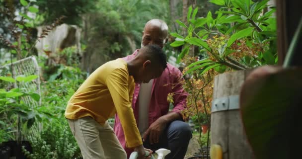 Happy Senior African American Man His Grandson High Fiving Garden — Vídeos de Stock