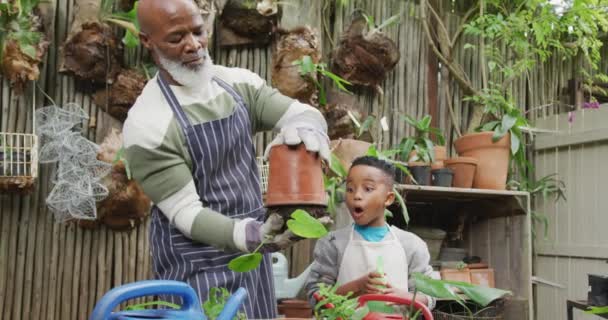 Happy Senior African American Man His Grandson Potting Plants Garden — Stock video