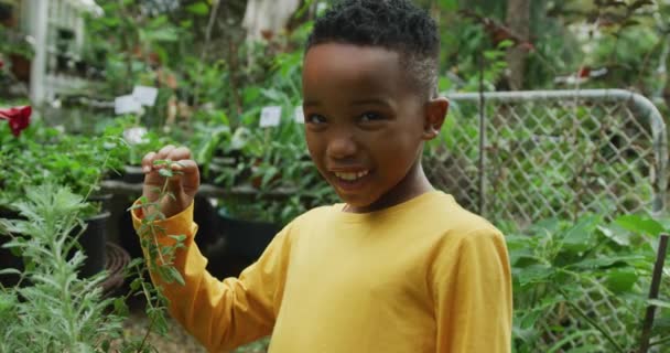 Portrait Happy African American Boy Looking Plants Smiling Garden Spending — Vídeos de Stock