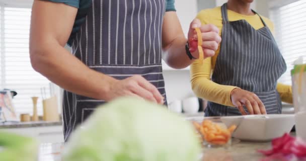 Video Midsection Diverse Couple Preparing Meal Drinking Wine Having Fun — Stockvideo