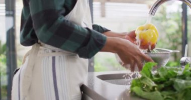 Video of hands of asian woman washing vegetables. Lifestyle and spending time at home concept.