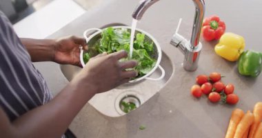 Video of hands of african american man washing vegetables. Lifestyle and spending time at home concept.