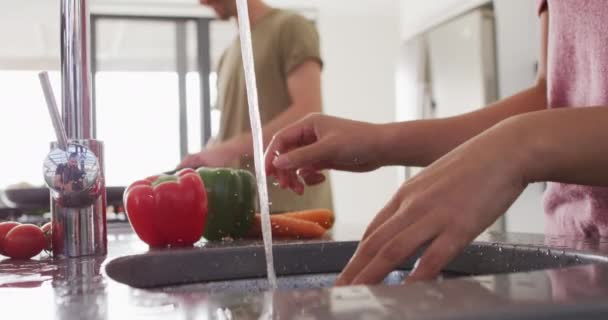 Video Hands Diverse Couple Washing Vegetables Cooking Love Relationship Spending — Vídeo de Stock