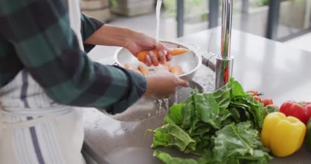 Video Hands Asian Woman Washing Vegetables Lifestyle Spending Time Home — Stock video