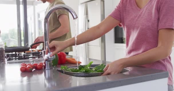 Video Midsection Diverse Couple Preparing Vegetables Cooking Love Relationship Spending — Stok video