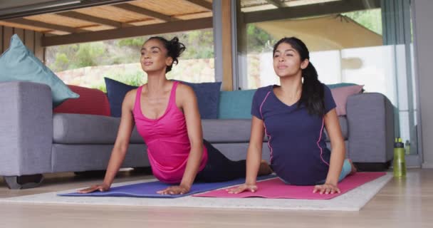 Video Happy Diverse Female Friends Practicing Yoga Together Home Friendship — Vídeos de Stock