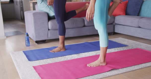 Video Midsection Diverse Female Friends Practicing Yoga Together Home Friendship — Video Stock