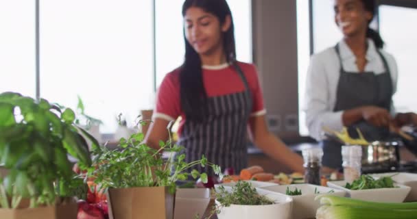 Video Happy Diverse Female Friends Preparing Meal Friendship Spending Quality — Stock video