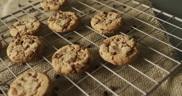 Video Biscuits Chocolate Baking Rack Cookies Bake Food Candy Snacks — Video Stock