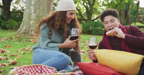 Video Biracial Couple Warmly Having Picnic Time Garden Domestic Lifestyle — Video