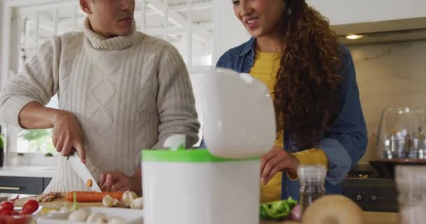 Video Happy Biracial Couple Preparing Meal Together Domestic Lifestyle Leisure — Vídeo de Stock