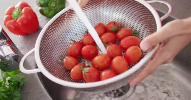 Video Hands Caucasian Woman Colander Washing Tomatoes Cooking Food Preparing — Stockvideo