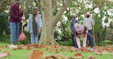 Mutlu Afrikalı Amerikalı anne ve baba ve kızının bahçede yaprak topladığı bir video. Aile, aile hayatı ve birliktelik kavramı dijital olarak oluşturulmuş video.
