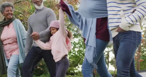 Βίντεο Χαρούμενους Αφροαμερικανούς Γονείς Και Παππούδες Περπατούν Την Εγγονή Τους — Αρχείο Βίντεο