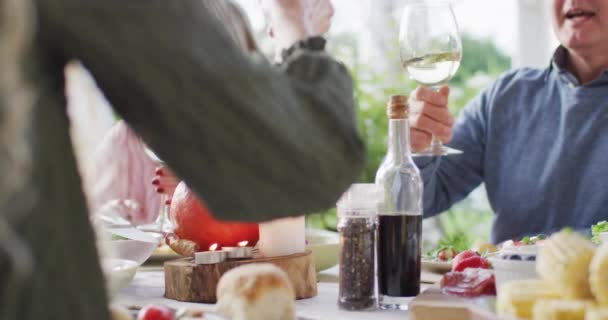 Video Happy Caucasian Parents Grandparents Making Toast Outdoor Family Dinner — стоковое видео