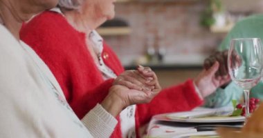 Mutlu çeşitli bayan arkadaşlar Noel 'de yemeği kutluyor. Yılbaşı kutlamaları, evde arkadaşlarla kutlama..