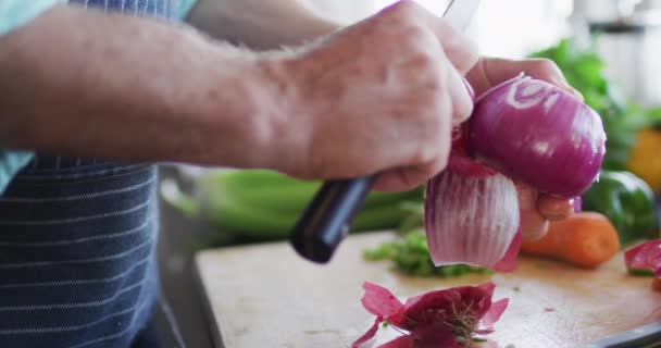 Closeup Mans Hands Cutting Red Onion Cutting Board Enjoying Leisure — Stock Video